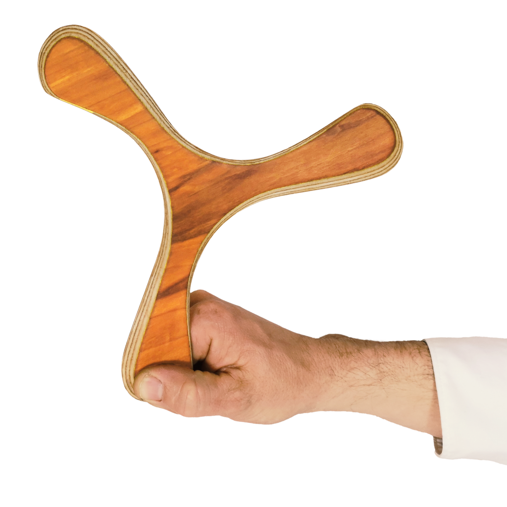 Image of Kugelblitz - Boomerang size comparison shot with Hand holding Y-shaped walnut boomerang having dark wood grain patterns