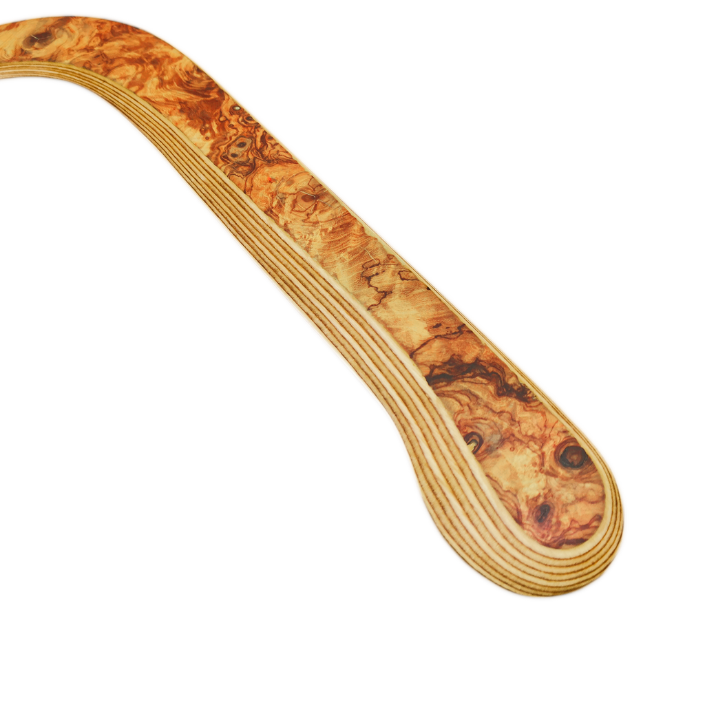 Image of Majestro Boomerng close-up shot and Detailed view of olive wood boomerang tip showing unique burl grain and knots