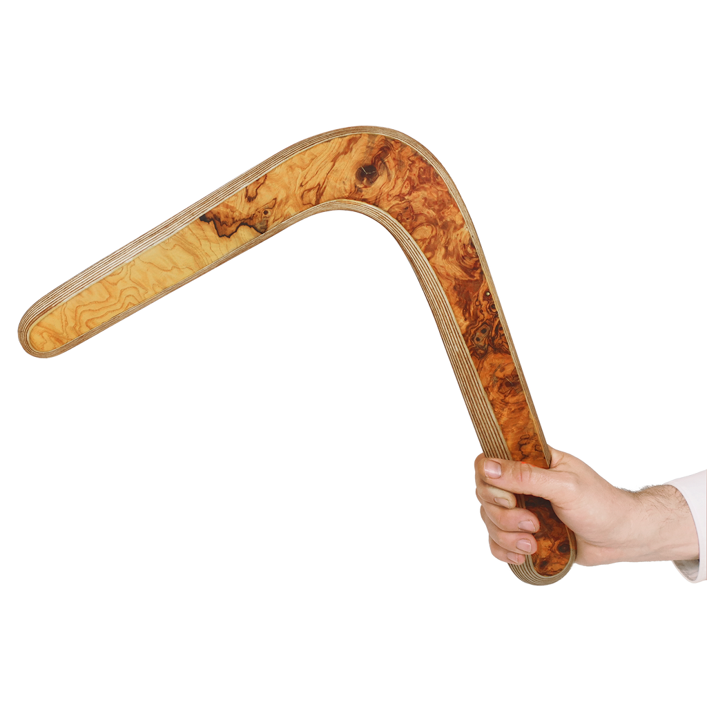Image of Majestro size comparison shot a Hand holding angular olive wood boomerang image with rich marbled burl wood texture
