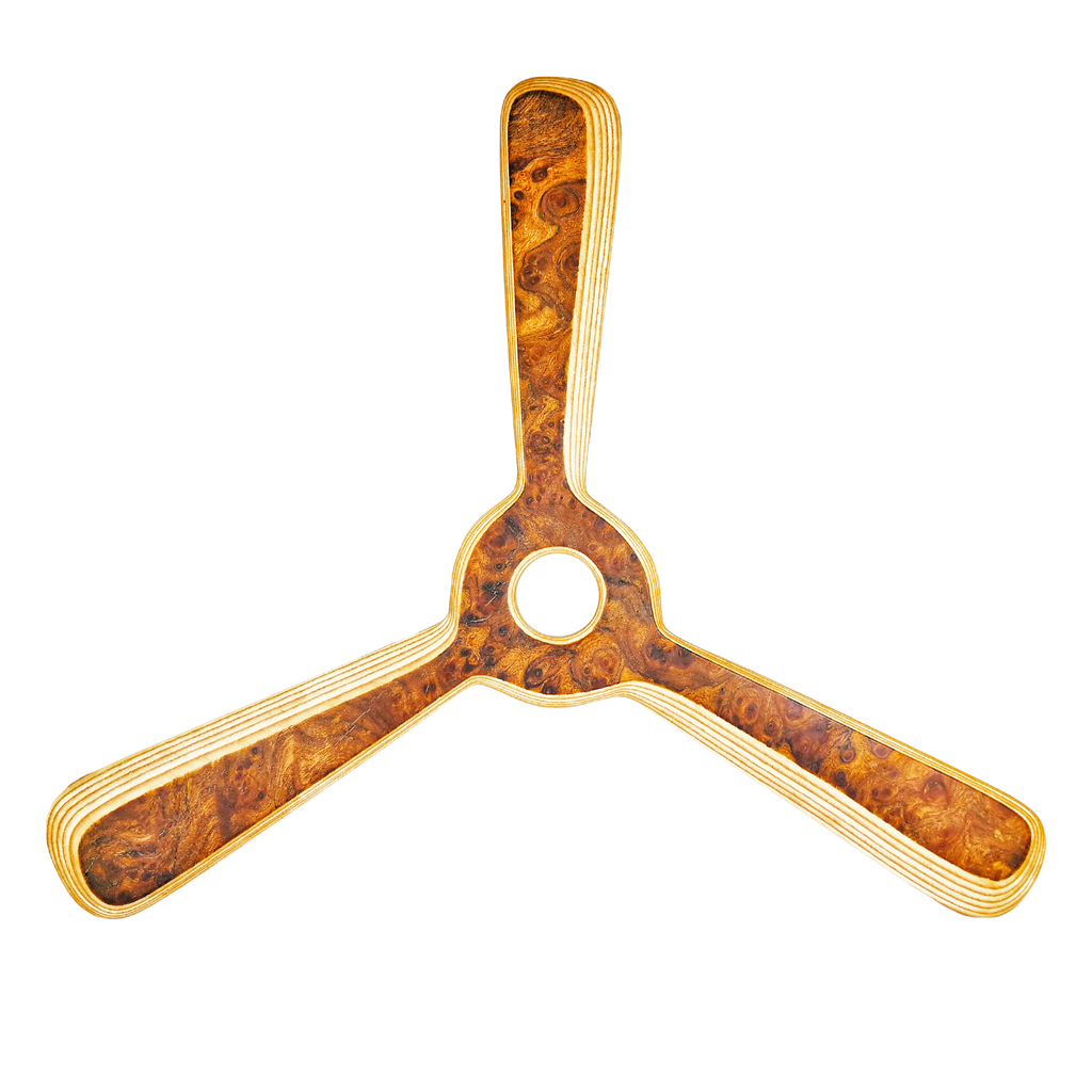 Image of Navigator boomerang straight-on shot with amber tones and distinctive eye patterns
