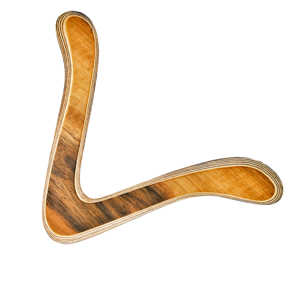 Image of Scout Boomerang dynamic shot with contrasting dark streaks and light golden grain