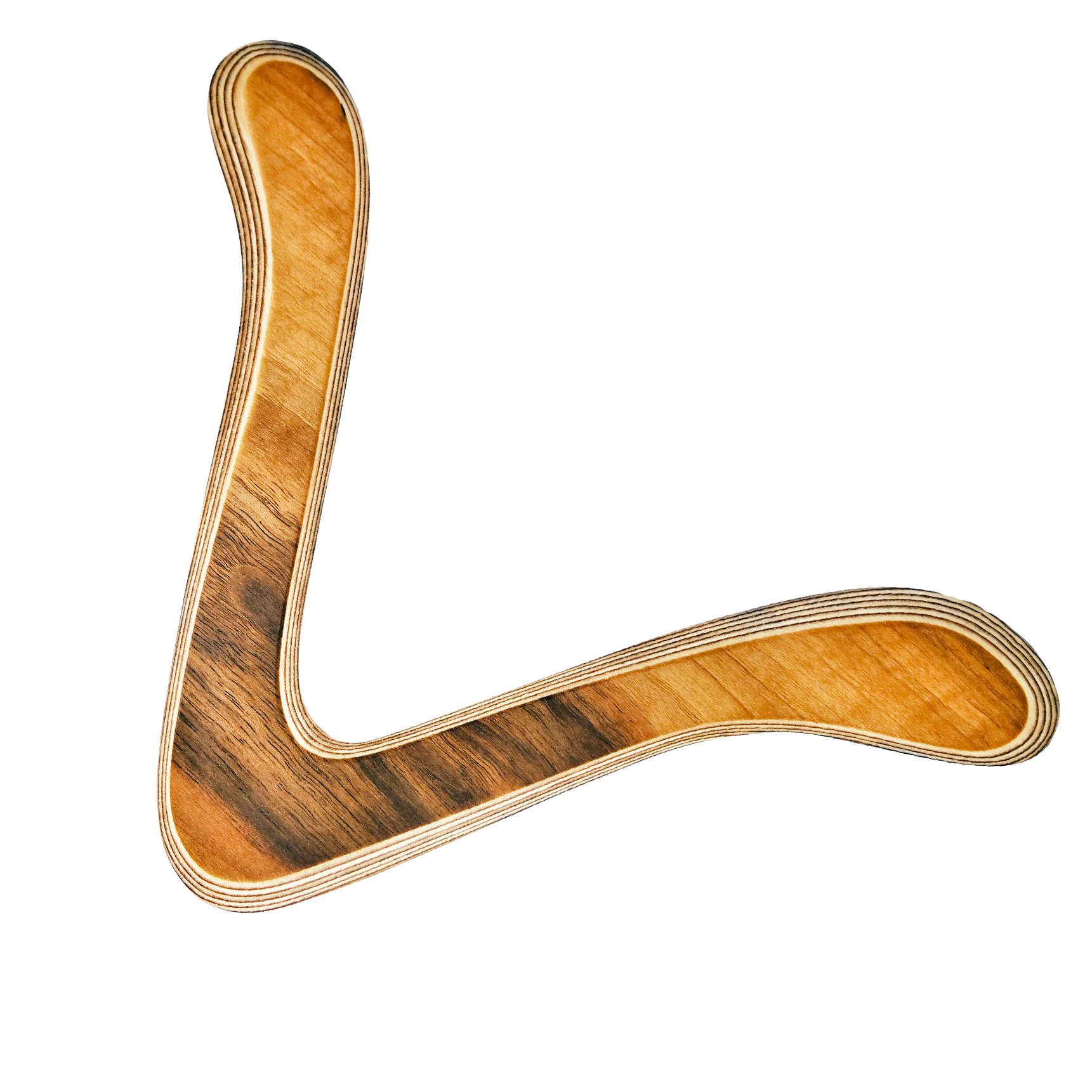 Image of Scout Boomerang dynamic shot with contrasting dark streaks and light golden grain